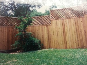 fence1